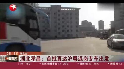 孝昌最新爆料消息视频,视频揭露惊人真相,引人深思 第1张 孝昌最新爆料消息视频,视频揭露惊人真相,引人深思 第1张